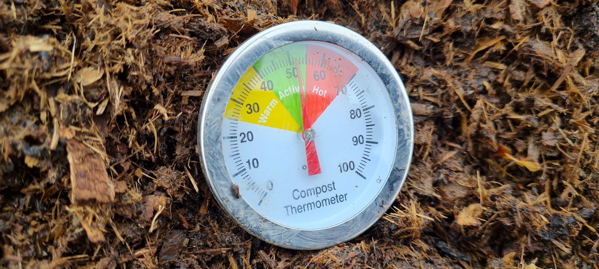 Heating up nicely! Thermophilic bacteria getting into their stride... #allotment #GYO #kitchengarden #gardening #organic #compost #organicagriculture