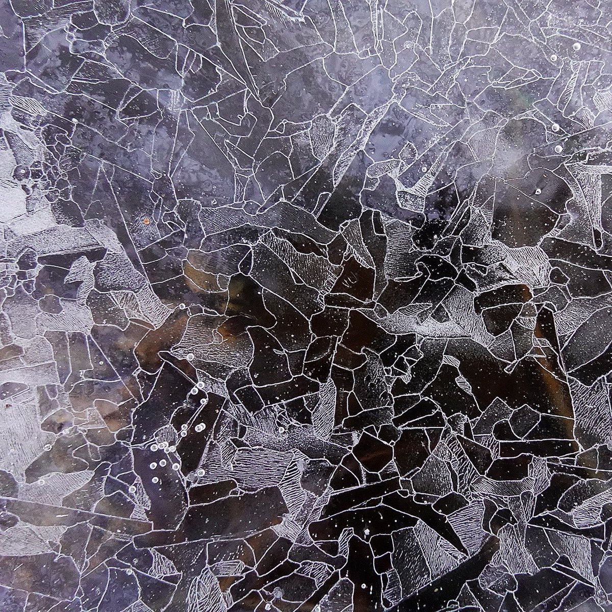 A cold night but I doubt I’ll find anything quite like this today. We live in hope of small wonders to lose ourselves in for a while