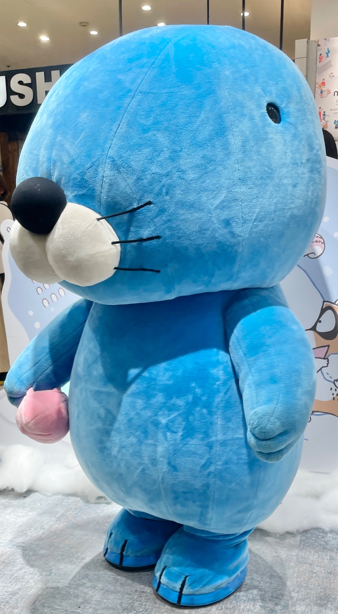 レア! キャットマガジンNYAO にゃお 7~10月号 どんぐりくん ぼのぼの