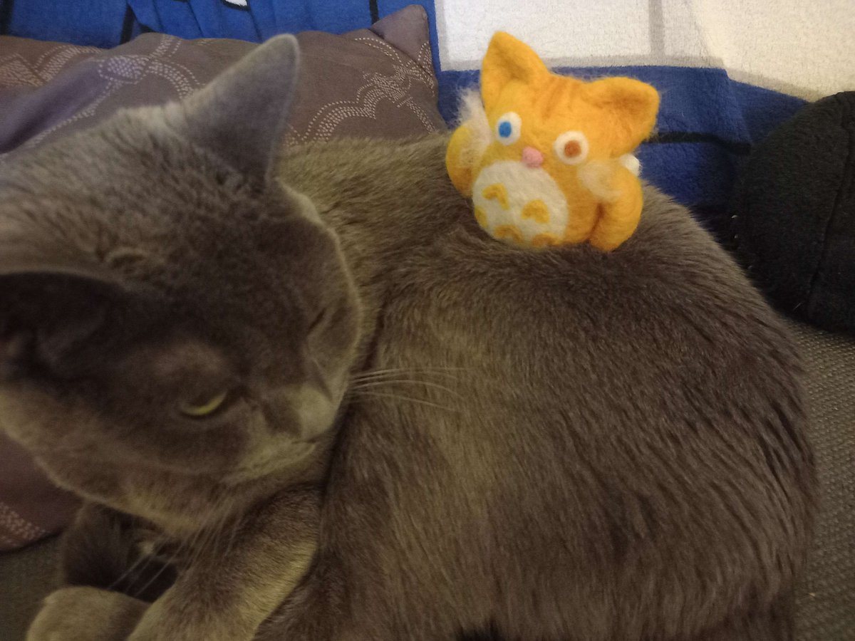 KittyLovesRobot's tweet photo. I now know that the best product &amp; art pics have cats in them modeling!  

Loving needle felting a ton, working on Resin guitar picks, and #TTRPG dice as well! 

A Totoro inspired cat from a #ghibli #anime  

Fritz looks concerned, cause that plushy looks haunted https://t.co/HMdQzK0Hot