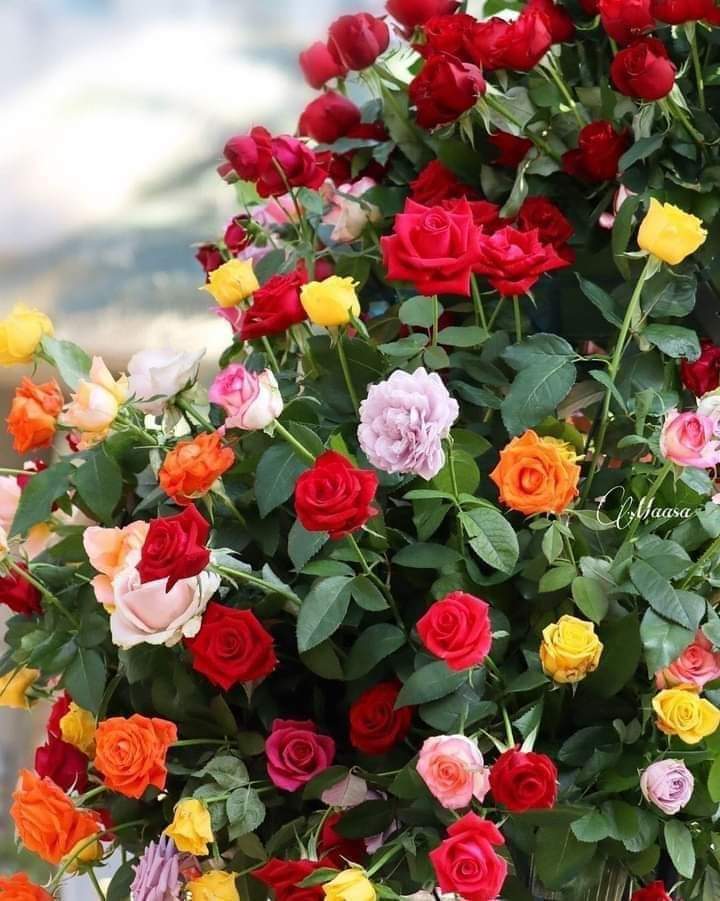 आदुरो $ जिन्दगी 🌹🌹🌹 (@premgur34602625) on Twitter photo 