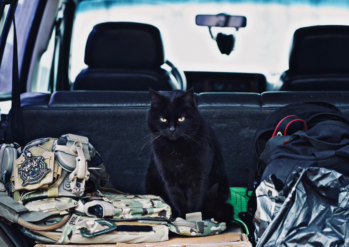 Task_Force_31's tweet photo. The time has come to reveal the true leader behind TF31, Zavtra, she’s a tough boss but she gets results.
#Ukraine️ #TaskForce31 #Cats https://t.co/tYkeVyEKoM