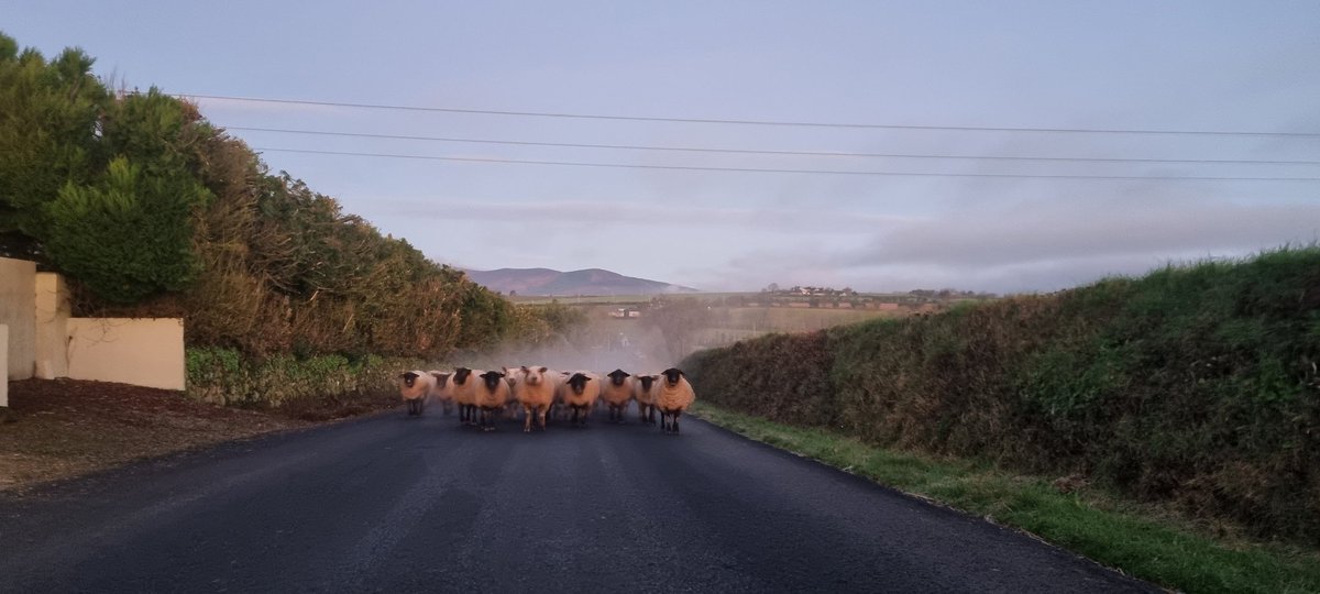 The final stretch of the legs before the maternity ward for the women 🙌