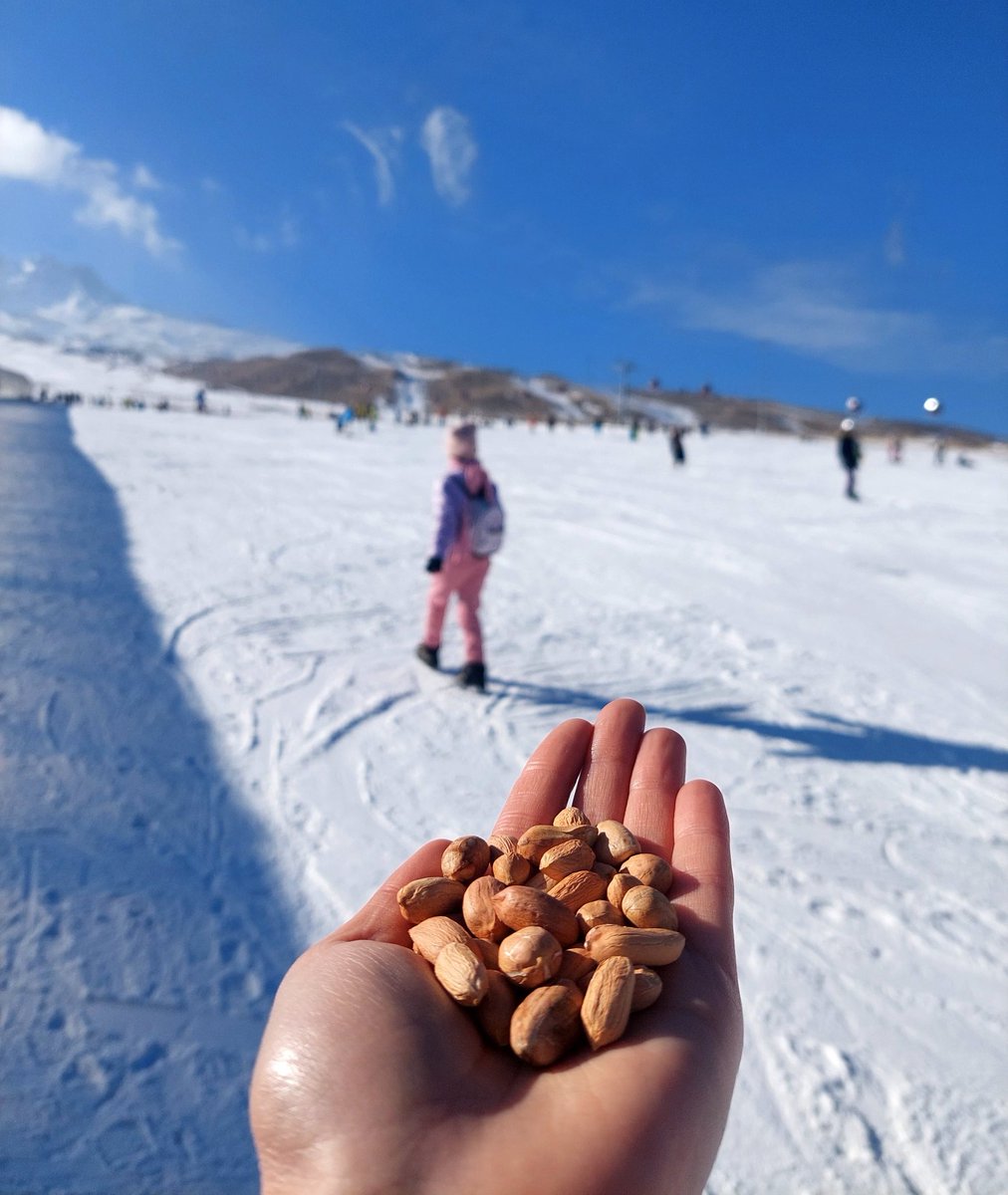 Erciyese çıkıp fıstık yiyerek kayanları izlemek mi? 😁