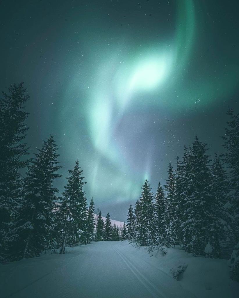 earthcurated's tweet image. Troms, Norway 🇳🇴