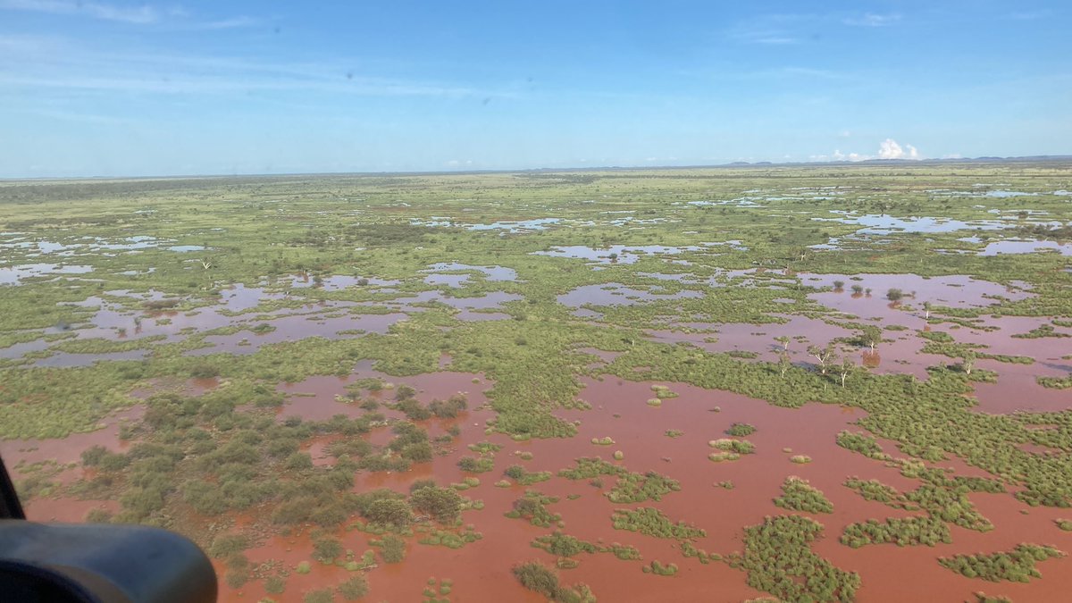 Annabelle Coppin tweet media