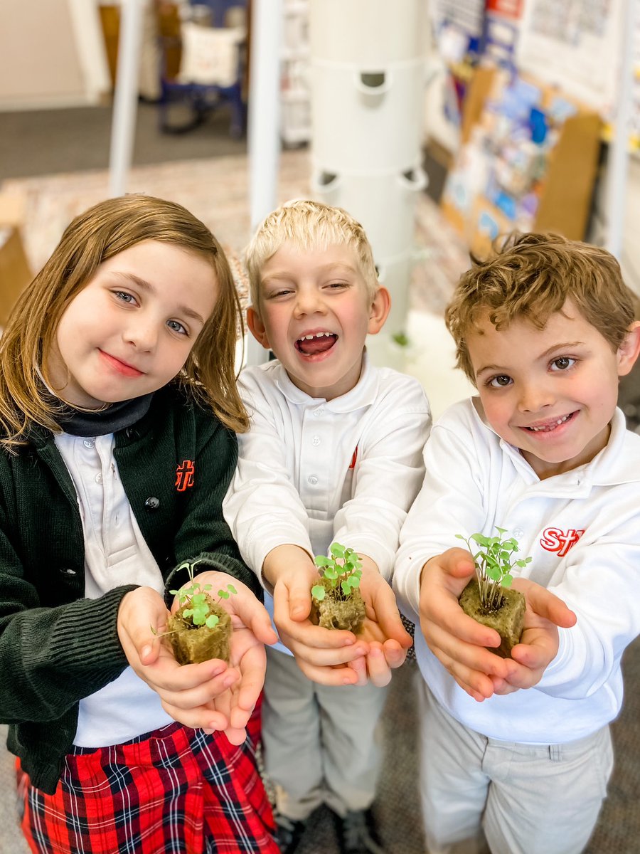 #STMscholars “Never underestimate the power of planting a seed.” Our first graders are eager to nurture their veggies and watch them grow🌱🥬 ❤️🖤
#futurefarmers #schoolgarden #theSTMdifference