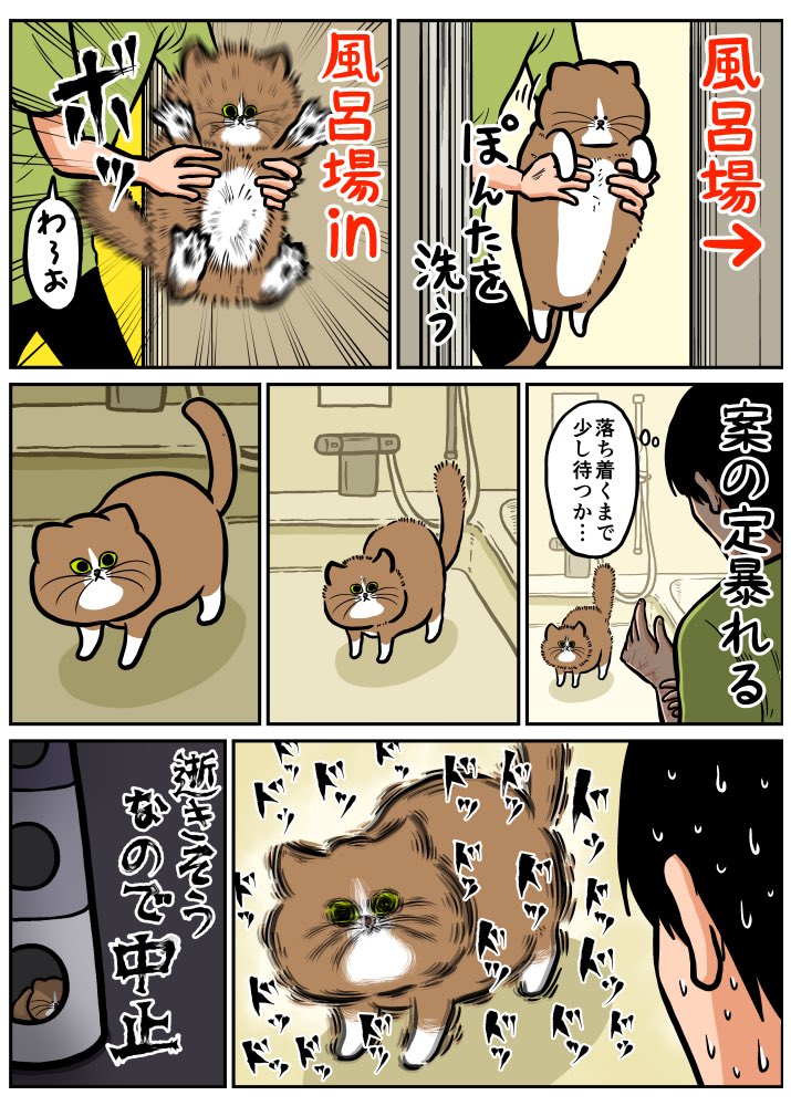 猫を洗う日記まとめ(1/2) 