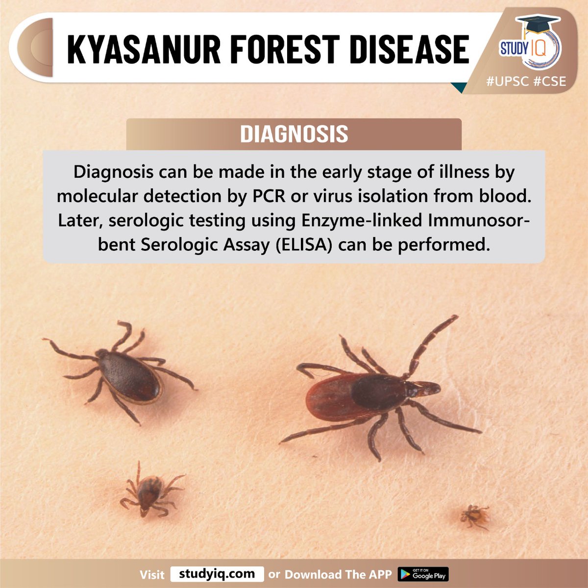 Newspoket's tweet photo. Kyasanur Forest Disease
#kyasanurforestdisease #whyinnews #forestdisease #kfd #halasoor #chikkamagalurudistrict #karnataka #familyflaviviridae #denguefever #humans #monkeys #diseasetransmission #haemaphysalisspinigera #kyasanurforest #chills #diagnosis #serologictesting https://t.co/WReRTLspyN