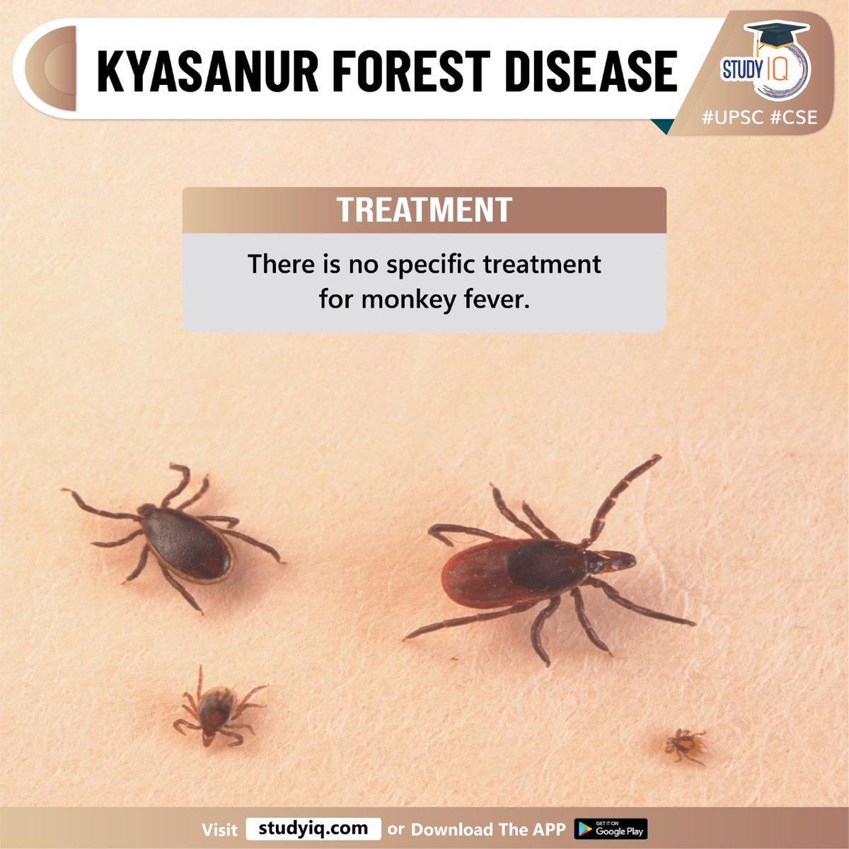 Newspoket's tweet photo. Kyasanur Forest Disease
#kyasanurforestdisease #whyinnews #forestdisease #kfd #halasoor #chikkamagalurudistrict #karnataka #familyflaviviridae #denguefever #humans #monkeys #diseasetransmission #haemaphysalisspinigera #kyasanurforest #chills #diagnosis #serologictesting https://t.co/WReRTLspyN
