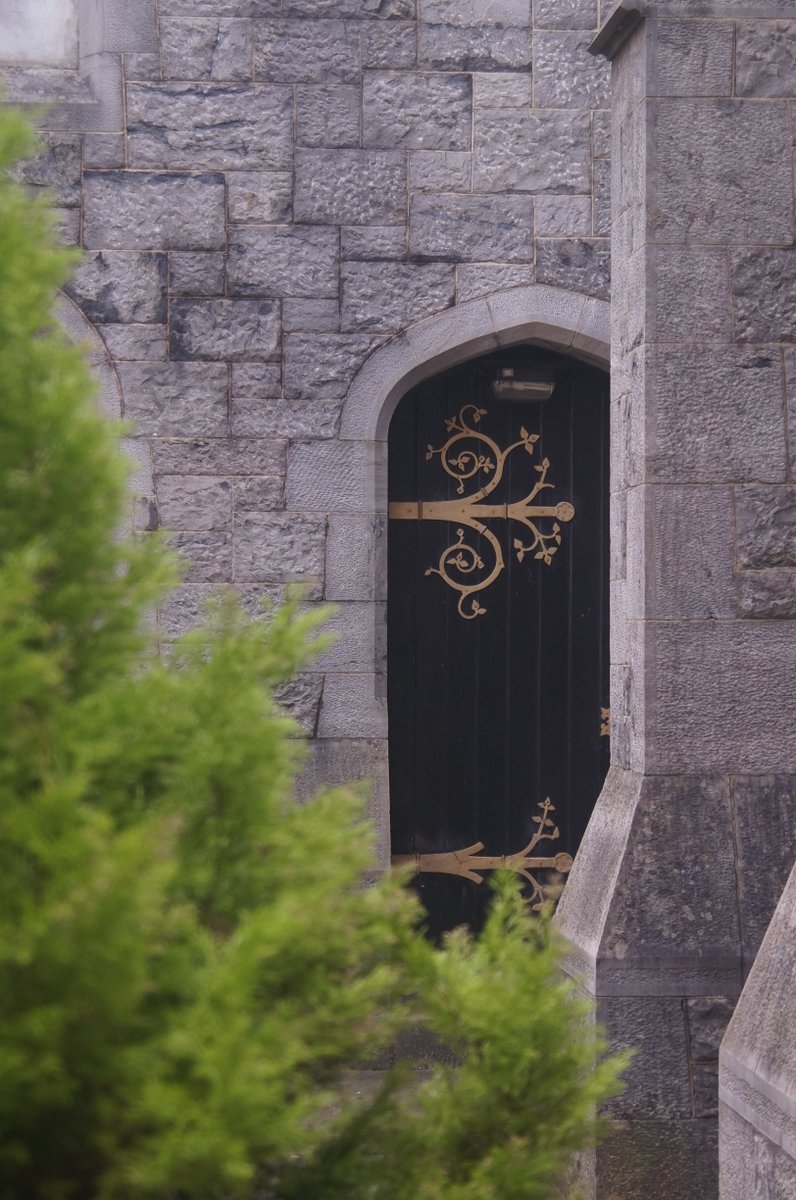 JacquesFine's tweet image. Lovely walk around Waterford City this morning 🤩

#photographylovers #referencephotos #waterfordcity #Waterford #Ireland