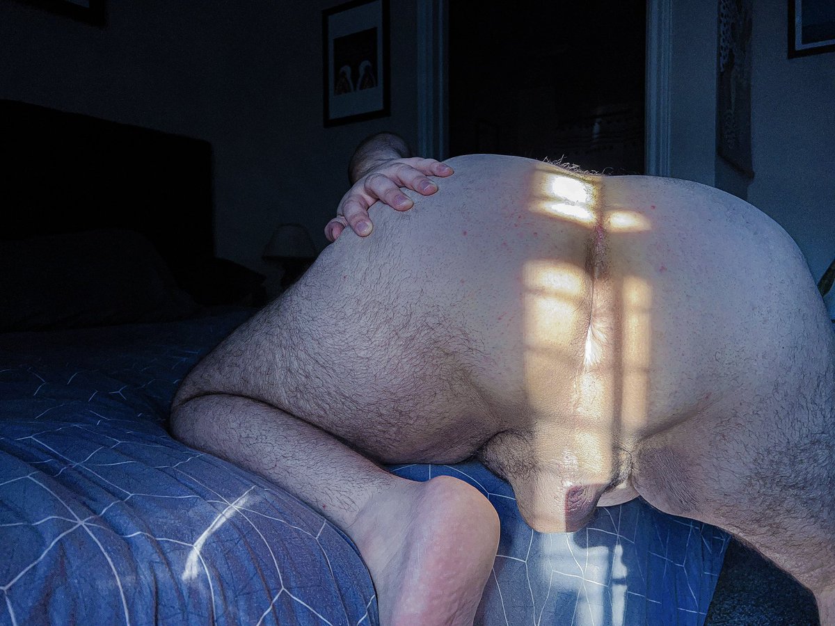 CumCuddleCub tweet media