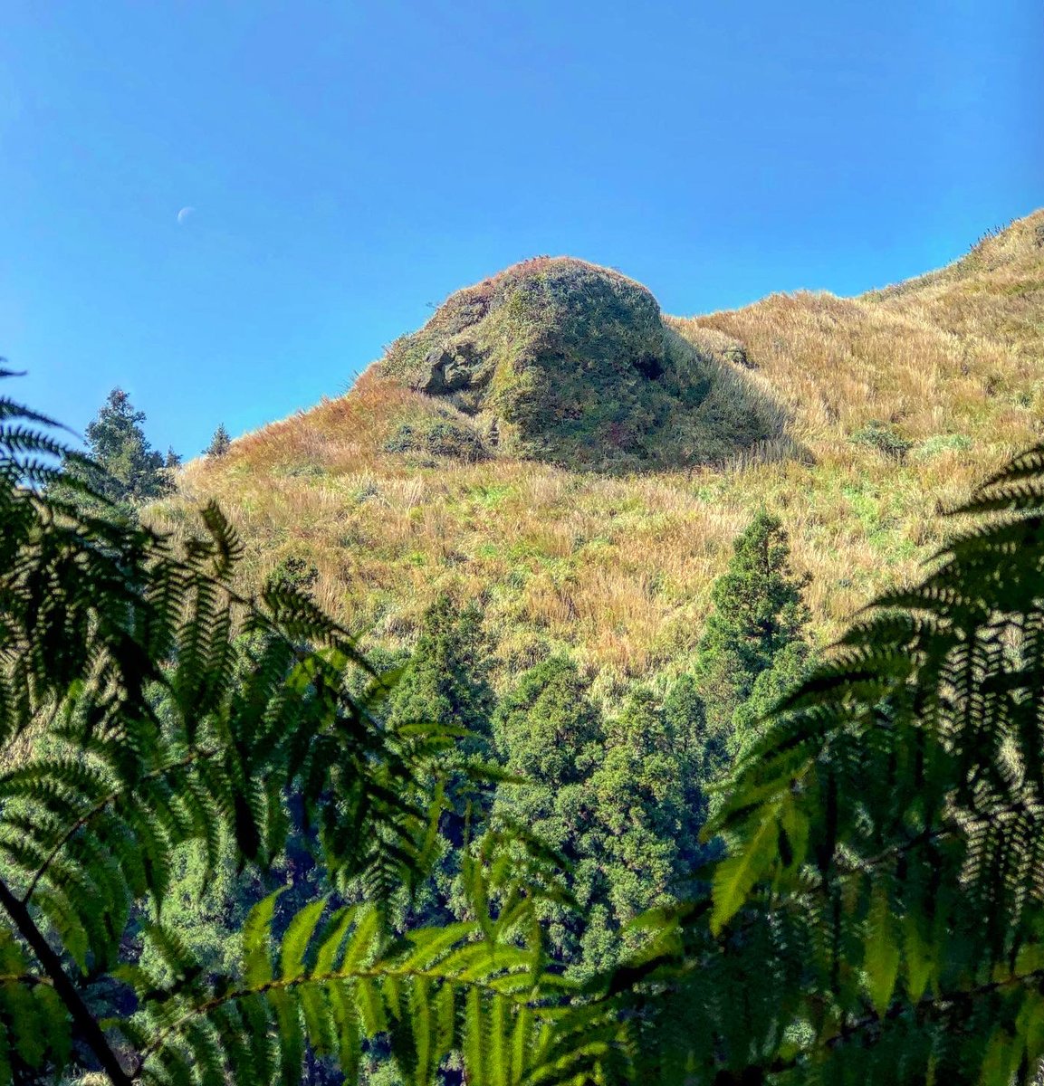 TaiwanThis's tweet photo. Yangming Mountain in #Taiwan https://t.co/YF8tF6JeZc
