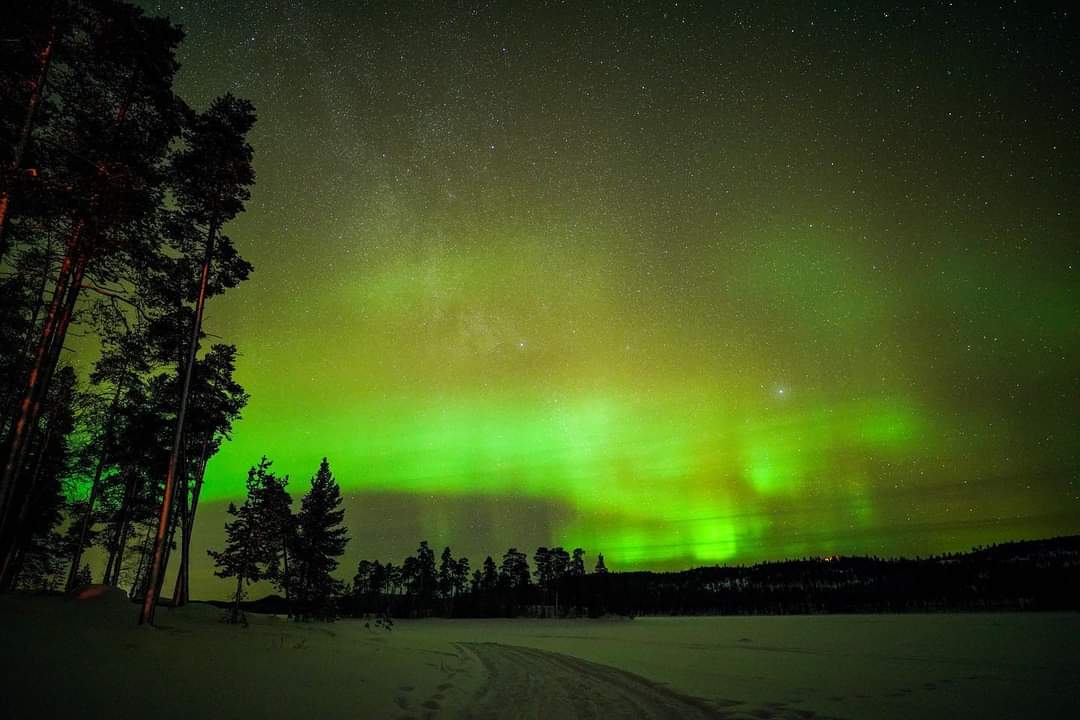 Beautiful green explosion in the sky above Finnish Lapland  

#Stars #Winter #Night #NightSky #Astrophotography #NatGeo #Travel #BeautifulDestinations #BucketList #VisitRovaniemi #VisitLapland #VisitFinland #OurFinland #ThisIsFinland @visitrovaniemi