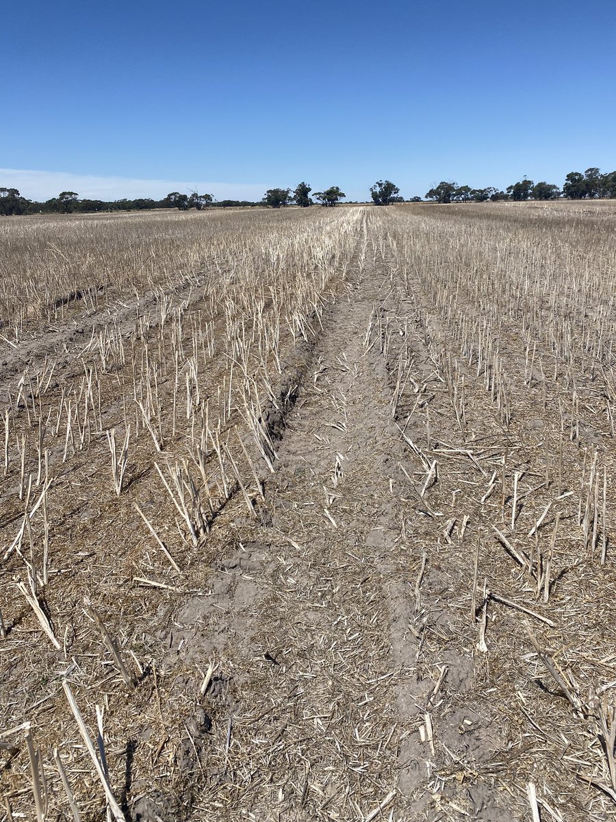 Alistair Ferrier tweet media