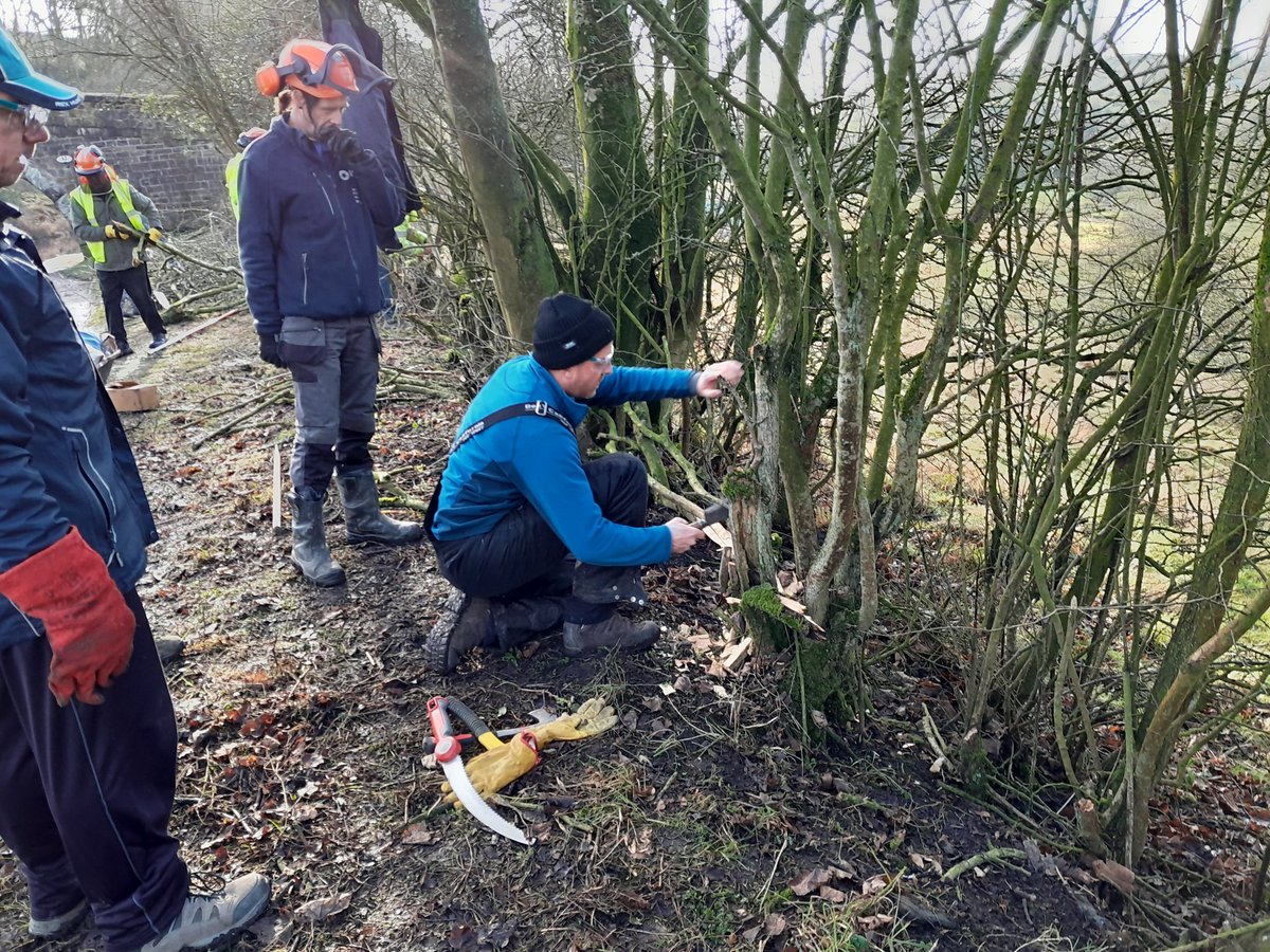MunroCanal's tweet photo. On Thursday our volunteers got on with a good bit of hedgelaying between Chorley and Blackburn. A lot still needs doing but we're off to a great start! Thanks team!

#volunteerbywater 
#LifesBetterByWater https://t.co/bWd7aNIoWK