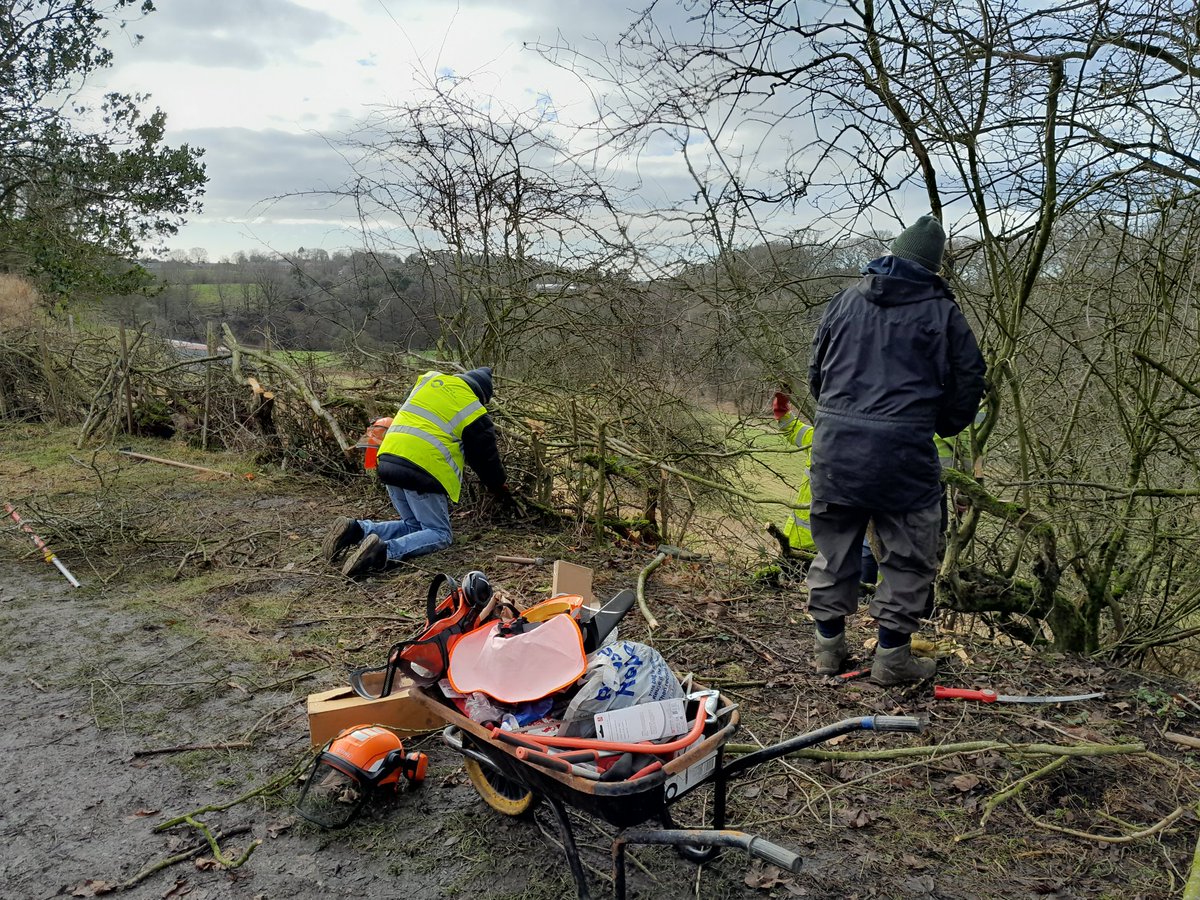 MunroCanal's tweet photo. On Thursday our volunteers got on with a good bit of hedgelaying between Chorley and Blackburn. A lot still needs doing but we're off to a great start! Thanks team!

#volunteerbywater 
#LifesBetterByWater https://t.co/bWd7aNIoWK
