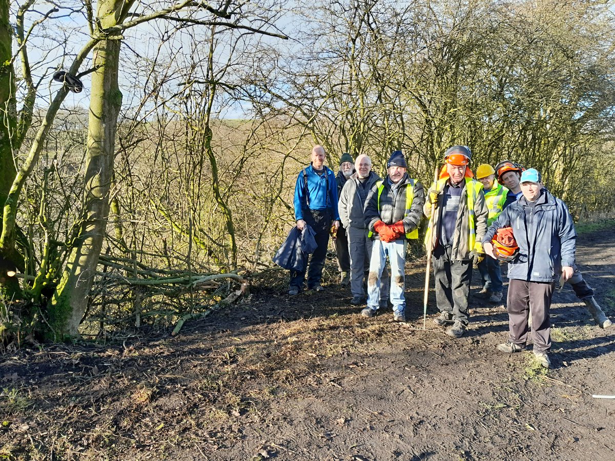 MunroCanal's tweet photo. On Thursday our volunteers got on with a good bit of hedgelaying between Chorley and Blackburn. A lot still needs doing but we're off to a great start! Thanks team!

#volunteerbywater 
#LifesBetterByWater https://t.co/bWd7aNIoWK