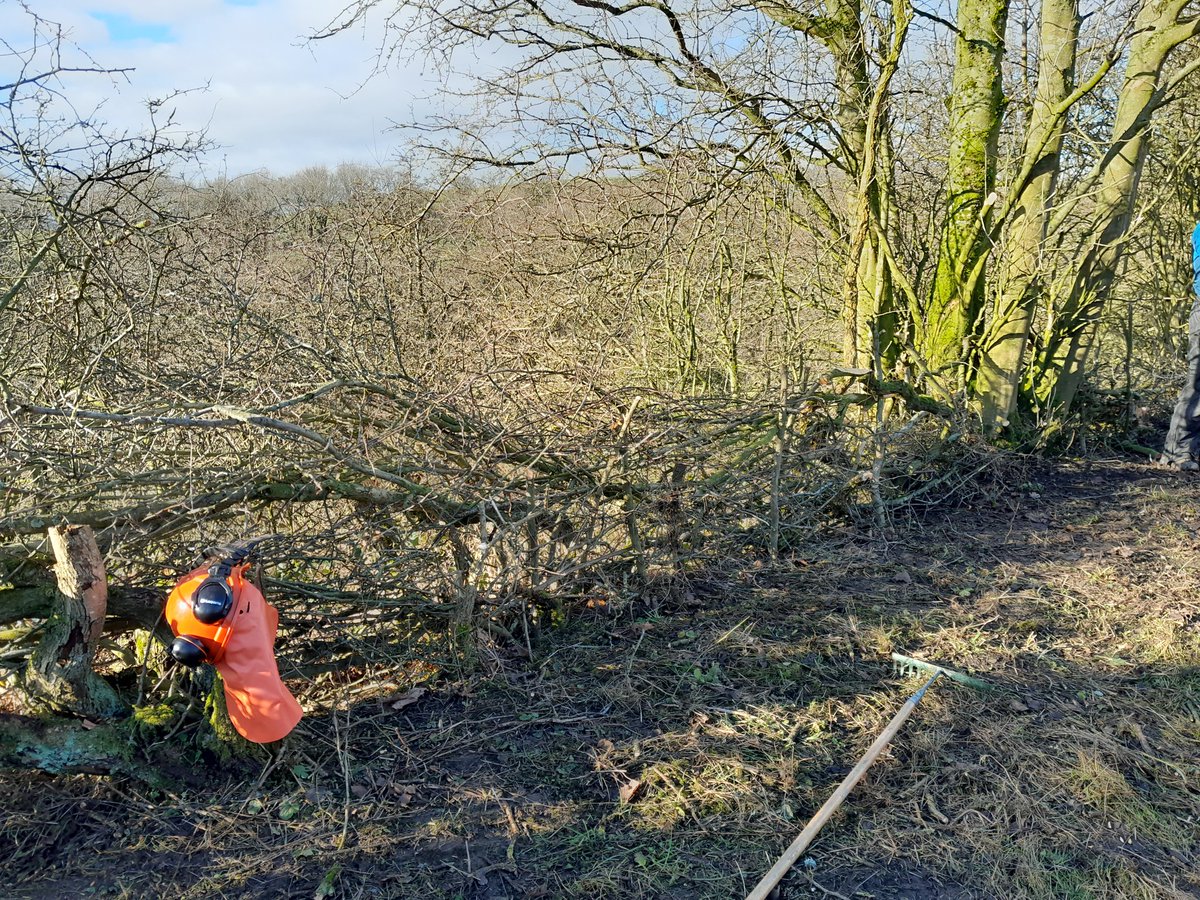 On Thursday our volunteers got on with a good bit of hedgelaying between Chorley and Blackburn. A lot still needs doing but we're off to a great start! Thanks team!

#volunteerbywater 
#LifesBetterByWater