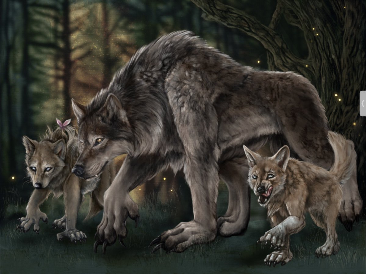 Hey guys, it’s my #birthday today. I would love to get some retweet’s as birthdaygift 🎁