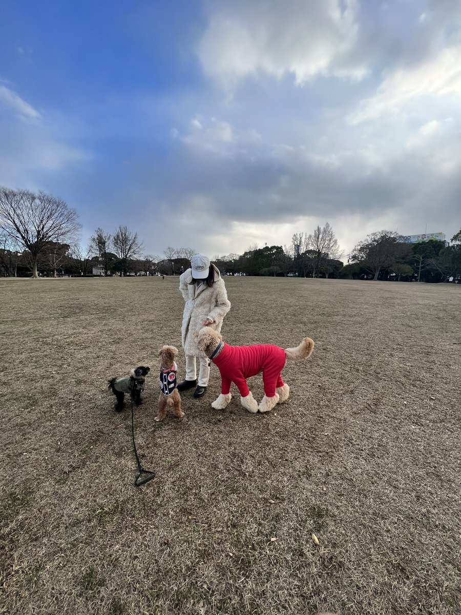 with_a_black_dog tweet media