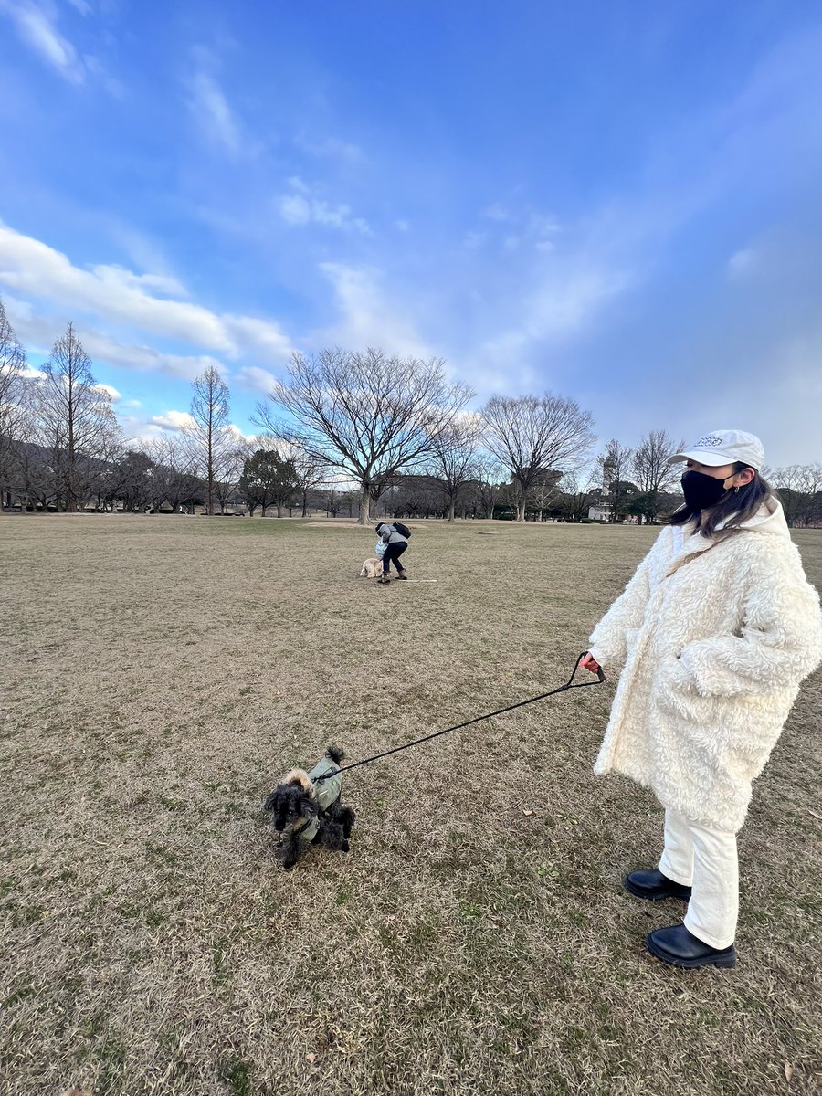 with_a_black_dog tweet media