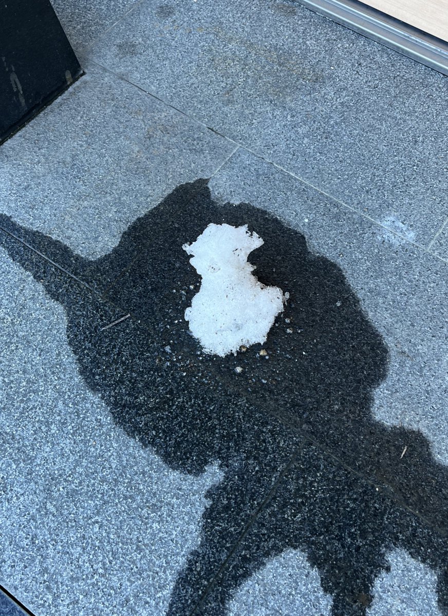 aoi_muststudy's tweet photo. 積雪から5日経った雪だるま｢…ｼﾃ…ｺﾛｼﾃ……｣ https://t.co/1pcGXSAE8x