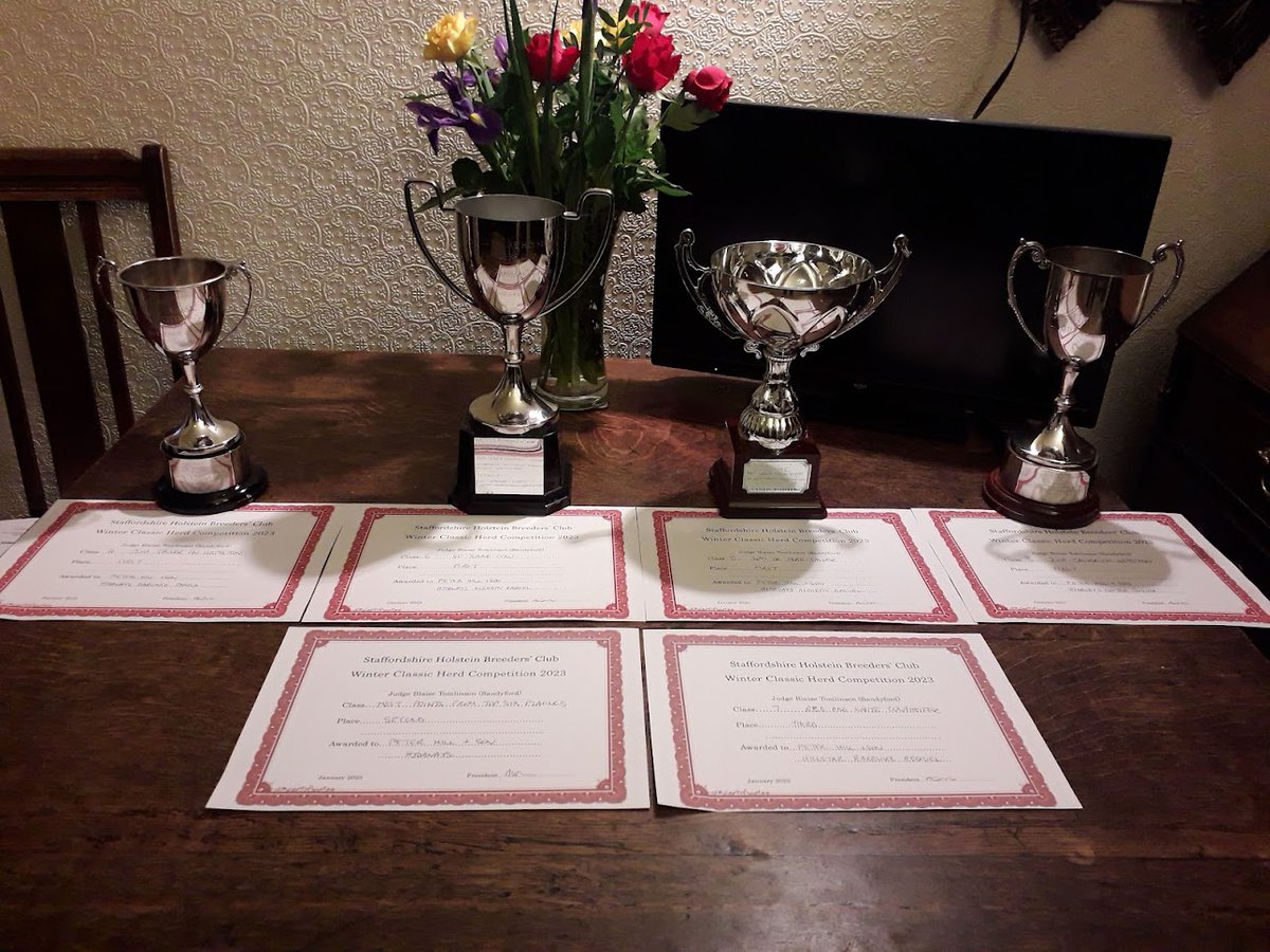 hill010415's tweet photo. 🐄🌟🐄Surprised &amp; delighted with our entries in the Staffs Holstein Breeders Club Winter Classic Competition 2023🌟🐄🌟
⭐️Hydaways Alchemy Raquel Ex95(5) was 1st in 4th Calver or More Class 
⭐️Hydaways Alchemy Raquel Ex95(5) was also 1st in 60 tonne and over Class 
@hillstar87 https://t.co/kxqTPjWcyf