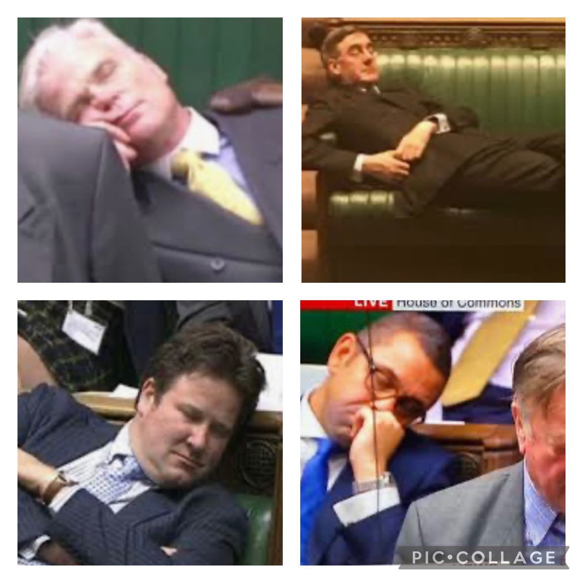 tammilne61's tweet image. When these #toryloonys are kicked out of office the majority of them will struggle to get other employment. Unless @RishiSunak fast tracks them to the @UKHouseofLords were expectations to achieve anything are not high.