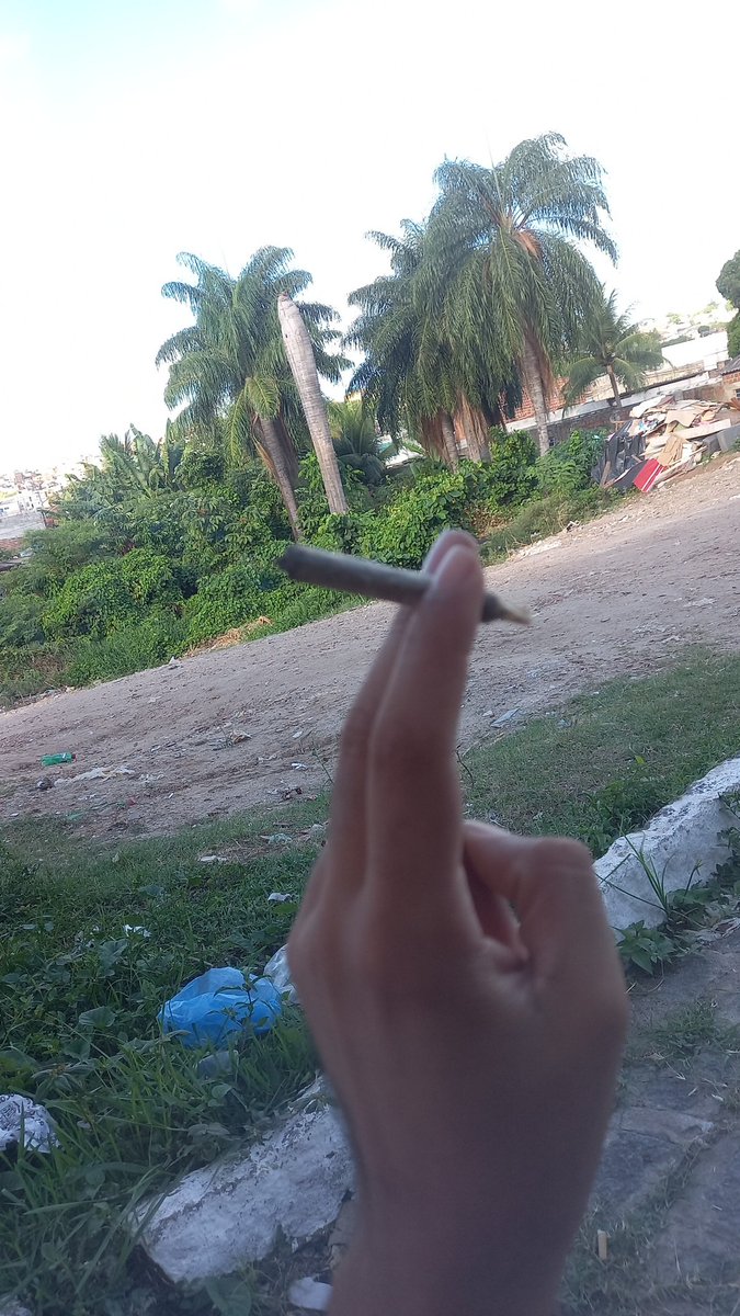 lelydiego's tweet photo. Bdia 🍁 https://t.co/kV9nmE1wUe