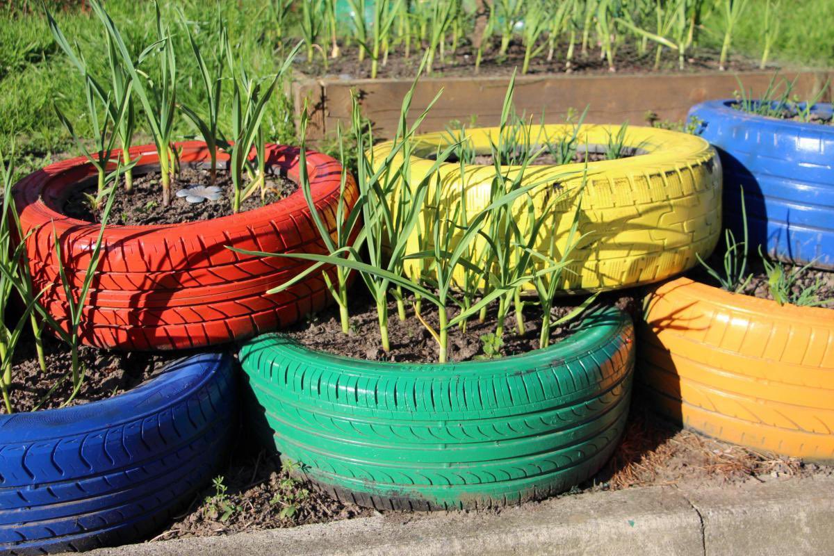 allotmentonline tweet media