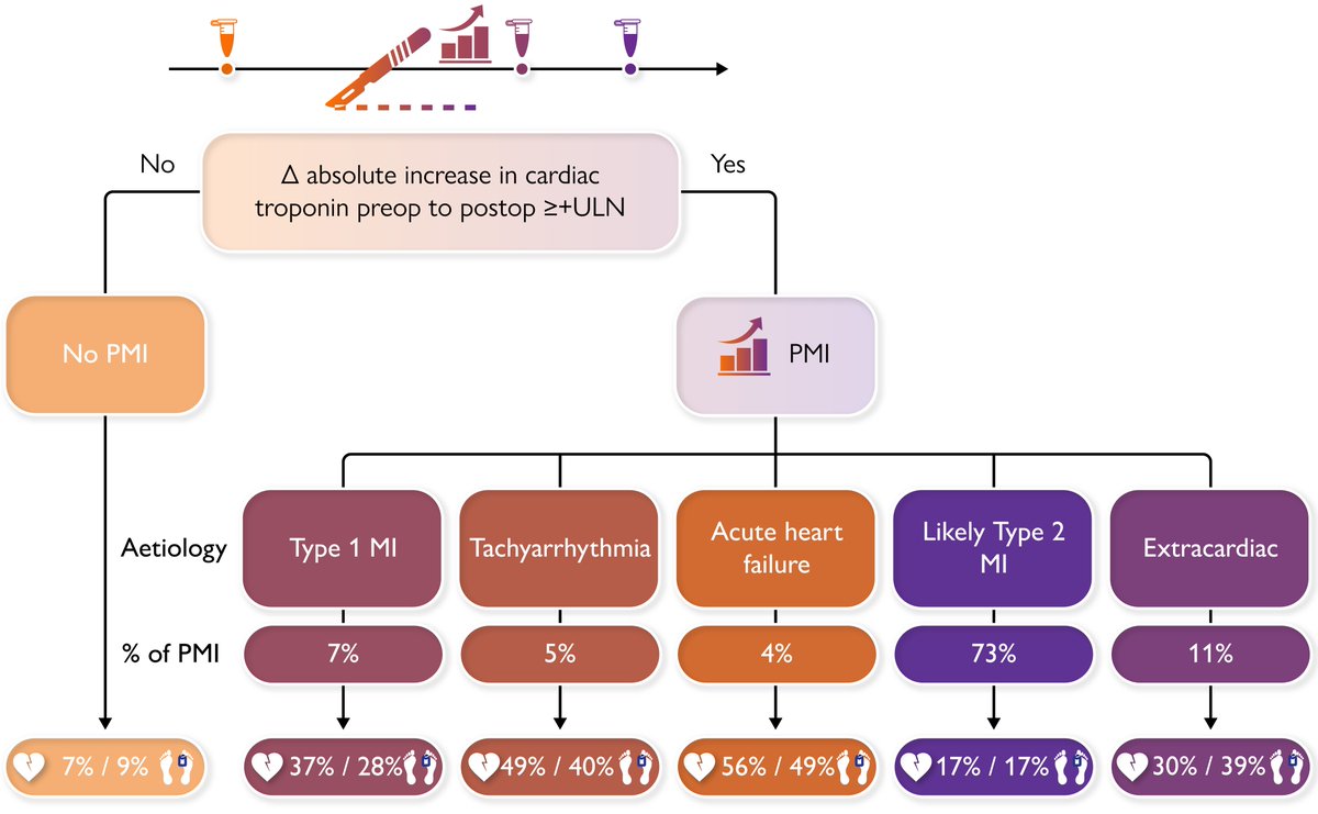 Long-term outcomes of perioperative myocardial infarction/injury after non-cardiac surgery. Discover more in EHJ! doi.org/10.1093/eurhea… #perioperativeMI #noncardiacsurgery #survival #cardiotwitter @ESC_Journals @escardio