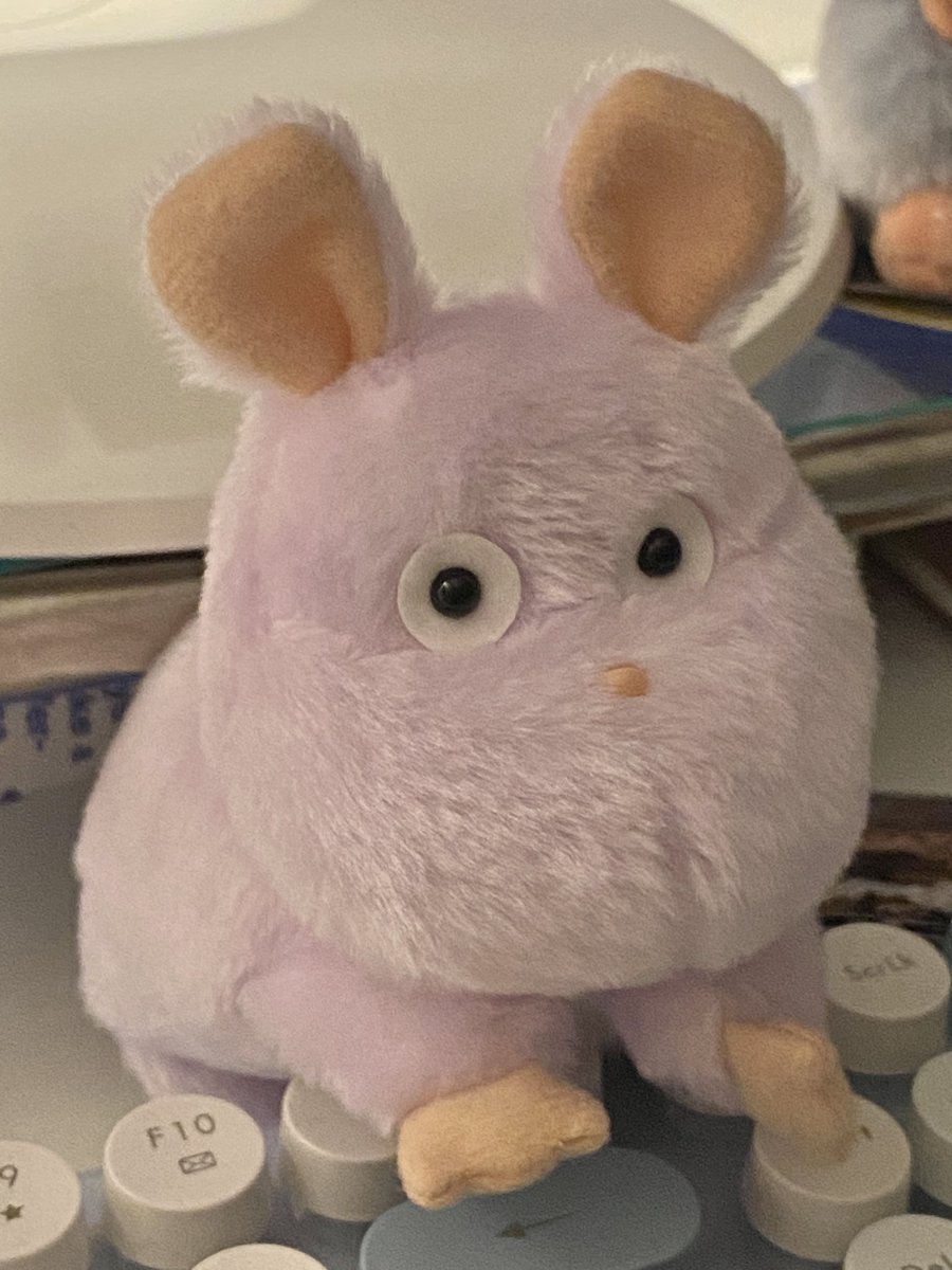 유바바 아들 데려왔다 ➰ 
찍찍.ᐟ 둘 다 같은 쥐인데 다른 느낌 💌
•••••
                             ((용맹한 척))