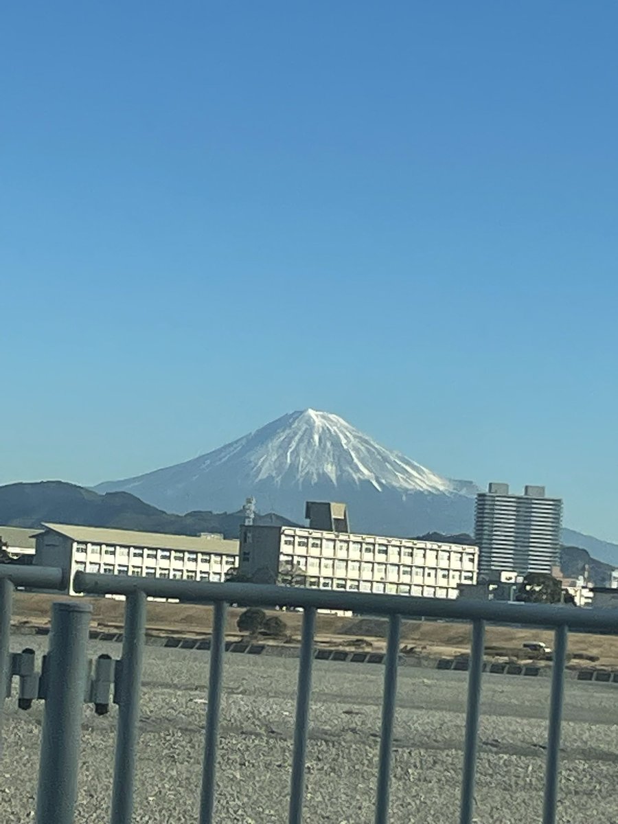 RepBebe's tweet image. 静岡レプタイルズショー1日目お疲れ様でした。
お迎えして頂いた皆様誠に有難う御座います！！！
明日は二日目！ゲストはなんと関根勉さん！
画面でしか見れない人なので少し楽しみです！！！！