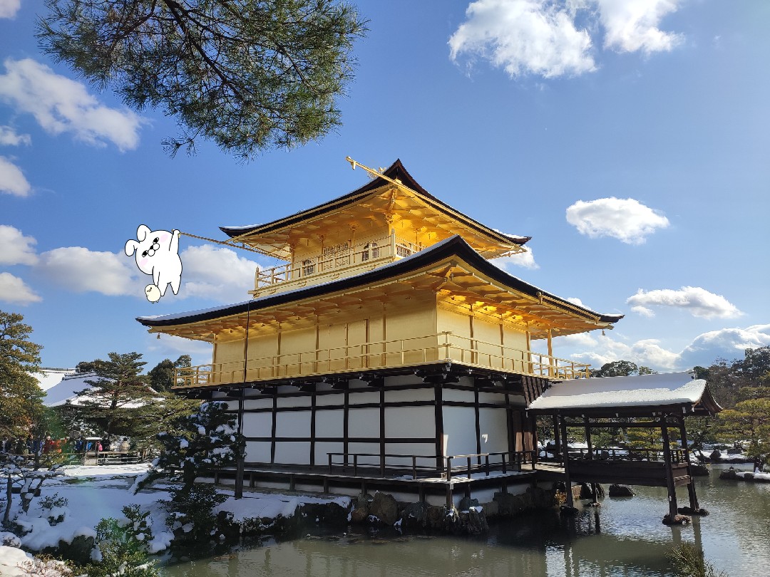 csar_koji's tweet photo. #金閣寺
#京都
#ヨッシースタンプ https://t.co/UOSVdEfpLH