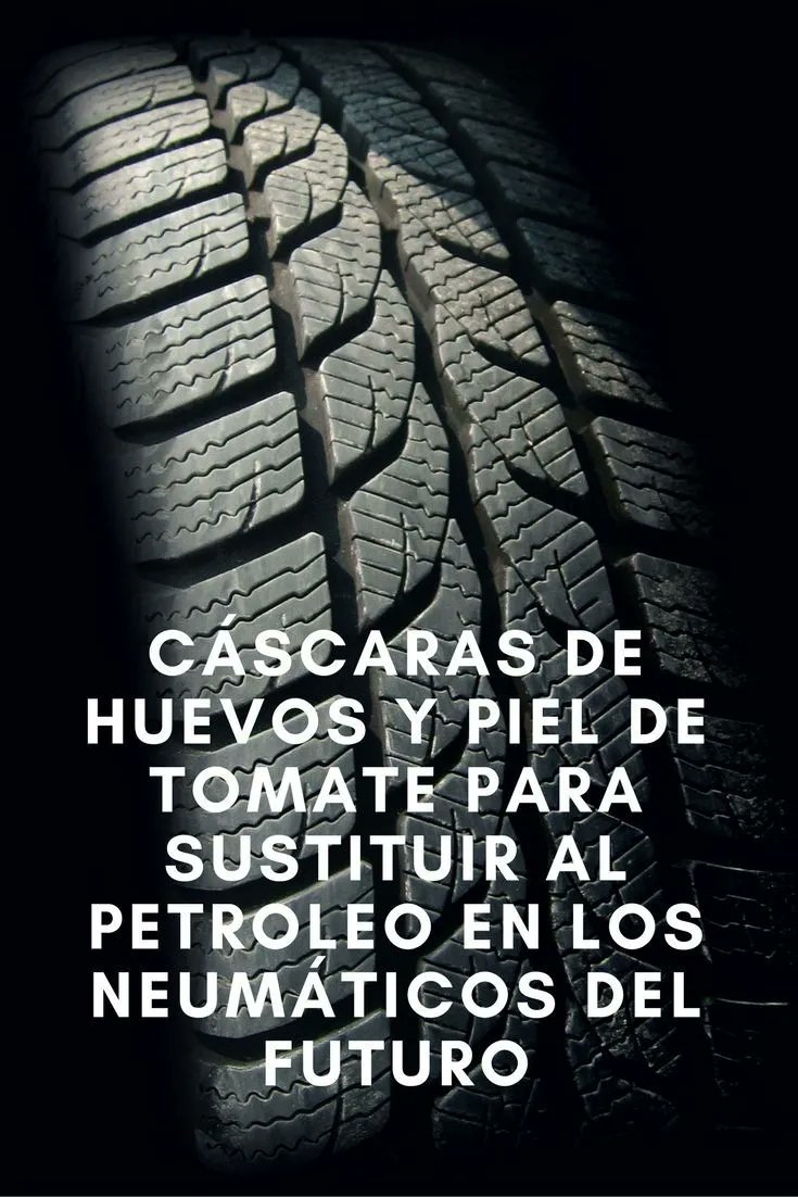 alternativaver1's tweet photo. Cáscaras de huevos y piel de tomate para sustituir al petroleo en los neumáticos del futuro
https://t.co/wsOgrjHFuh https://t.co/MuEHi62mLa