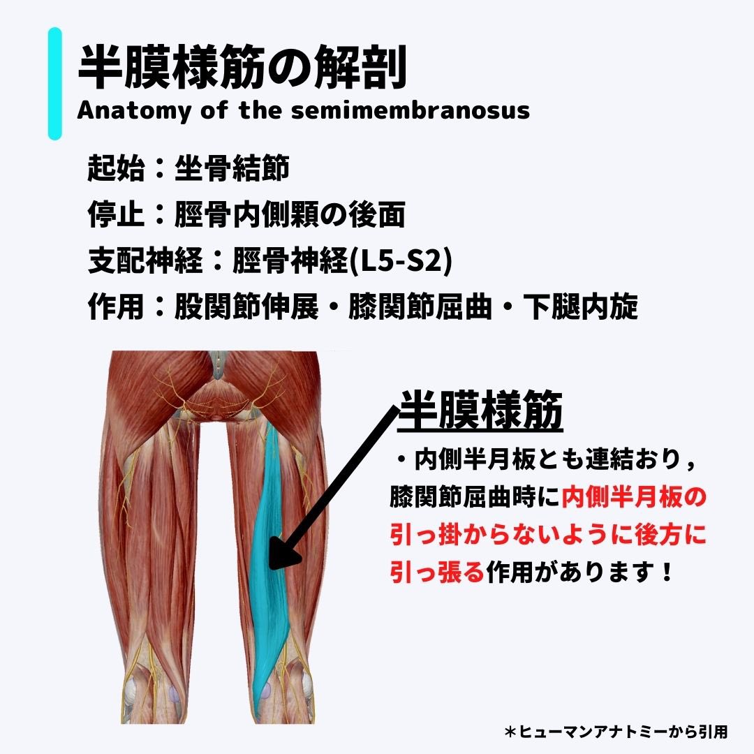 mongori37's tweet photo. https://t.co/6HexiJe186