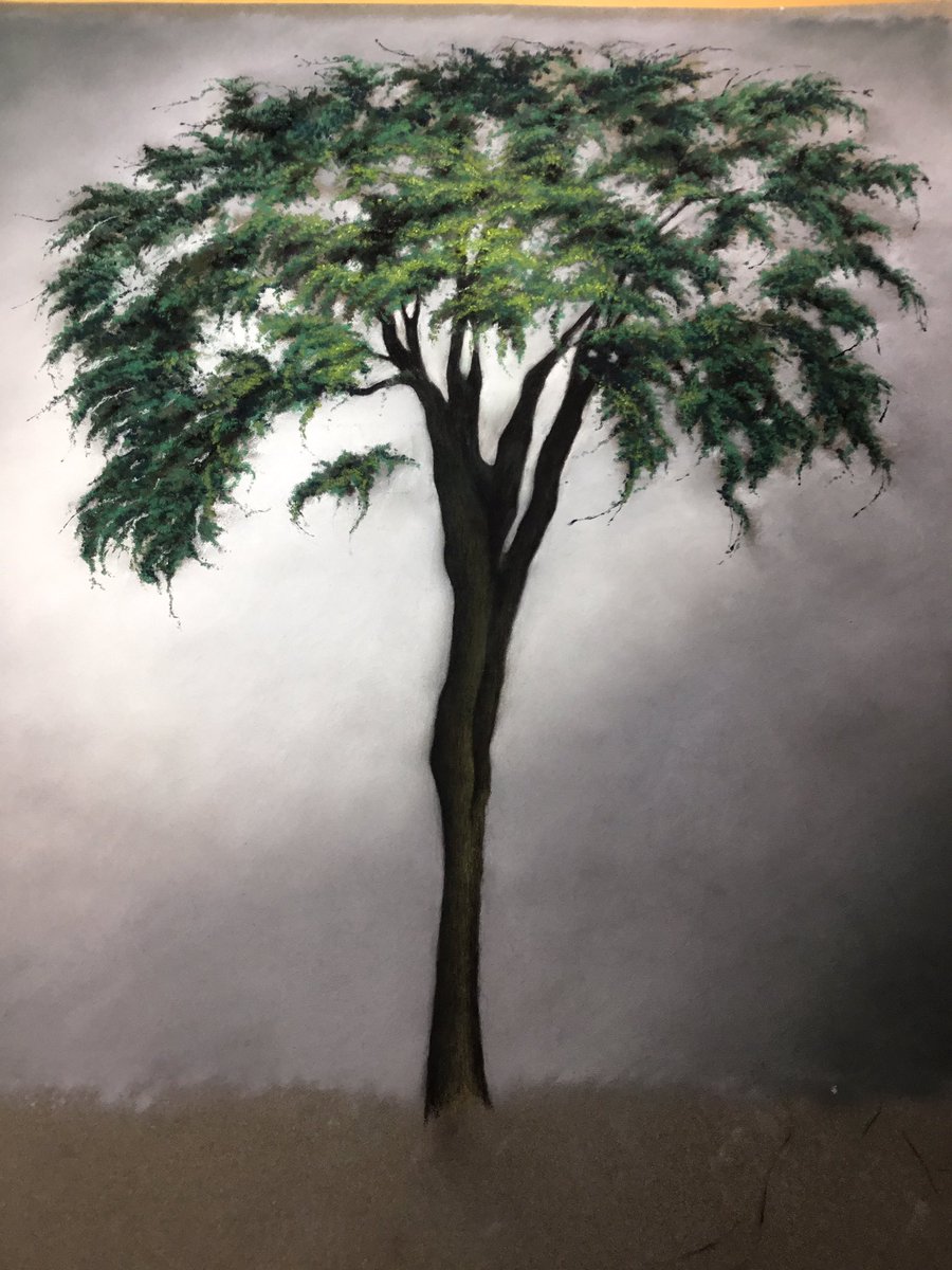 WellmanStudio's tweet image. Pastel painting slowly progressing