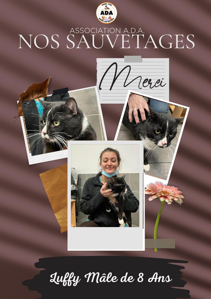 AimerAider's tweet image. Sauvetge de la journée instagram.com/p/Cn9dDvCNVDB/… #animaux #animals  #animalprotection #rescueanimals  #animalrescue #animalsrescue #rescuepetofinstagram #sauvetageanimaux #sauvetagechats #sauvetagechiens #sauvetagenacs
