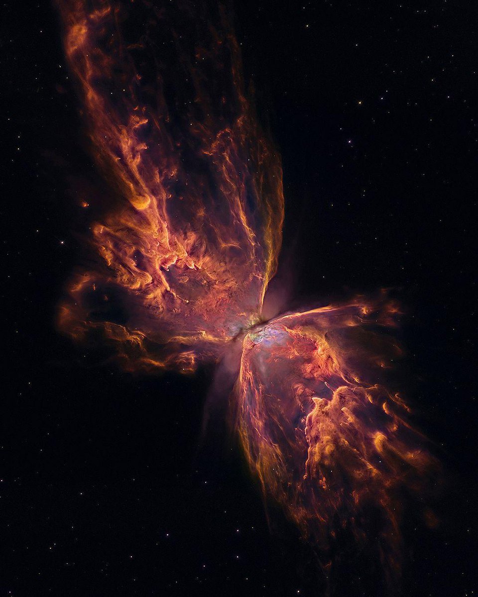 Butterfly Nebula captured by the Hubble space telescope.