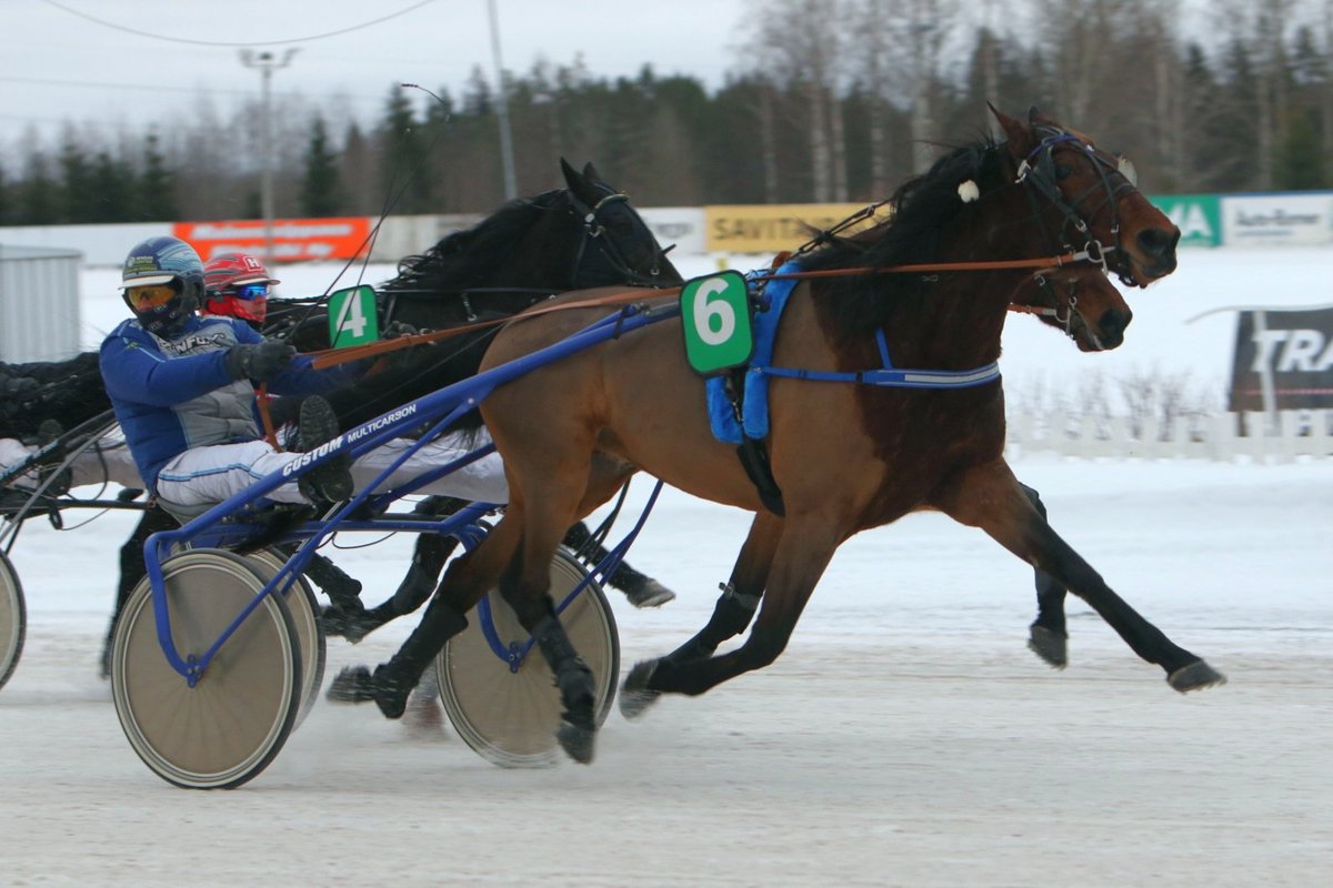 Kymen-Karjalan hevosenomistajien lähdön, nousijadivisioonakarsinnan voitto Unique's Smilelle ja Jarmo Saarelalle. Ruunaa valmentaa Mira Lehto ja sen omistaa Kalle Laakkala Asikkalasta. #ravit #lappeenravit #lappeenravirata