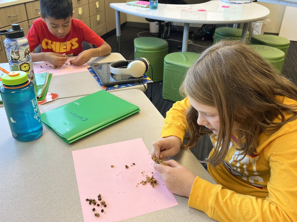 MsCranor's tweet image. Yesterday, we were celebrating upcoming #KSDay and doing a #fossildig #Thirdgraders loved exploring and of course eating their fossil digs!