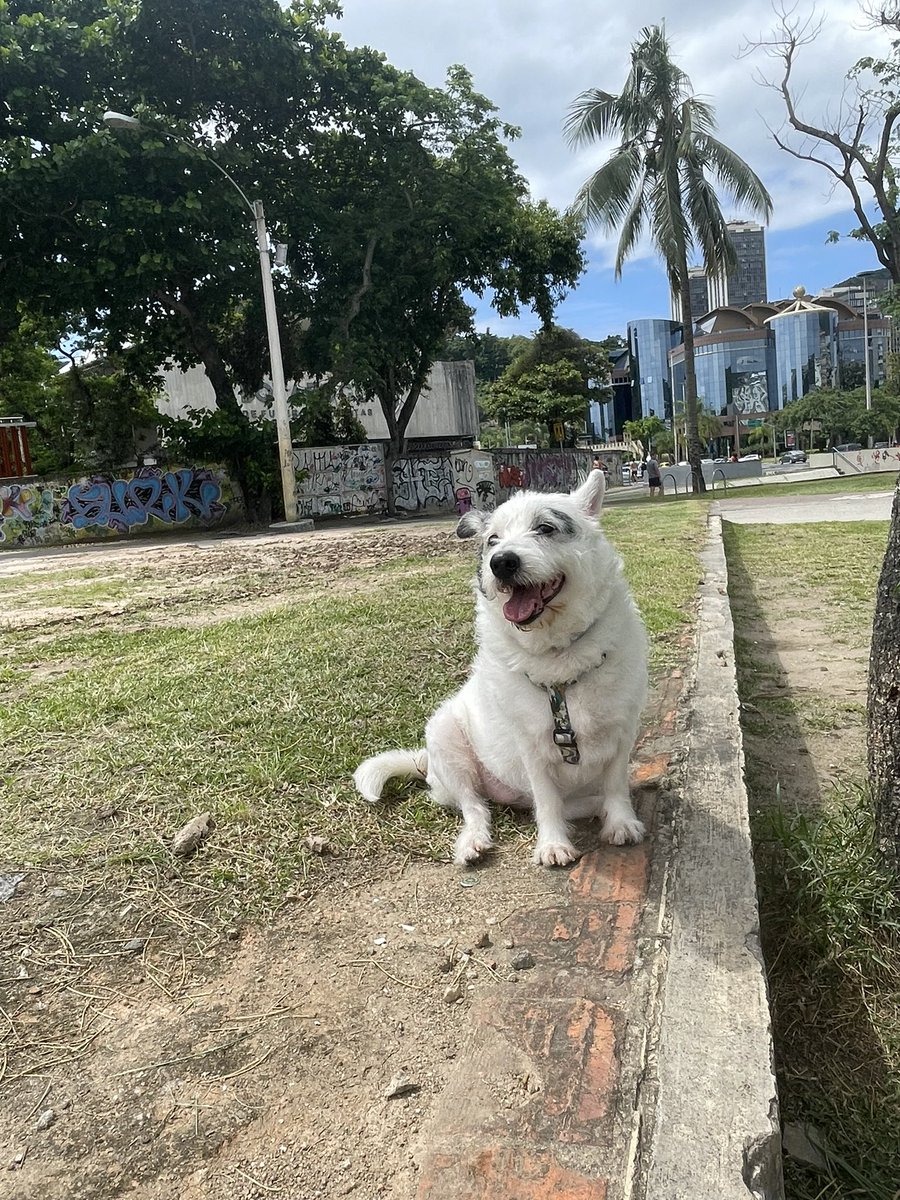 NatyRodriguess's tweet photo. @chicorinha_ Silvinha https://t.co/RXJtzNGQKI