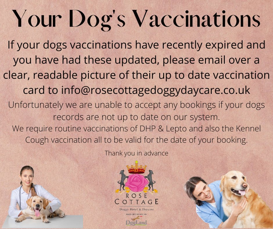 Rose Cottage Doggy Day Care🐾 tweet media