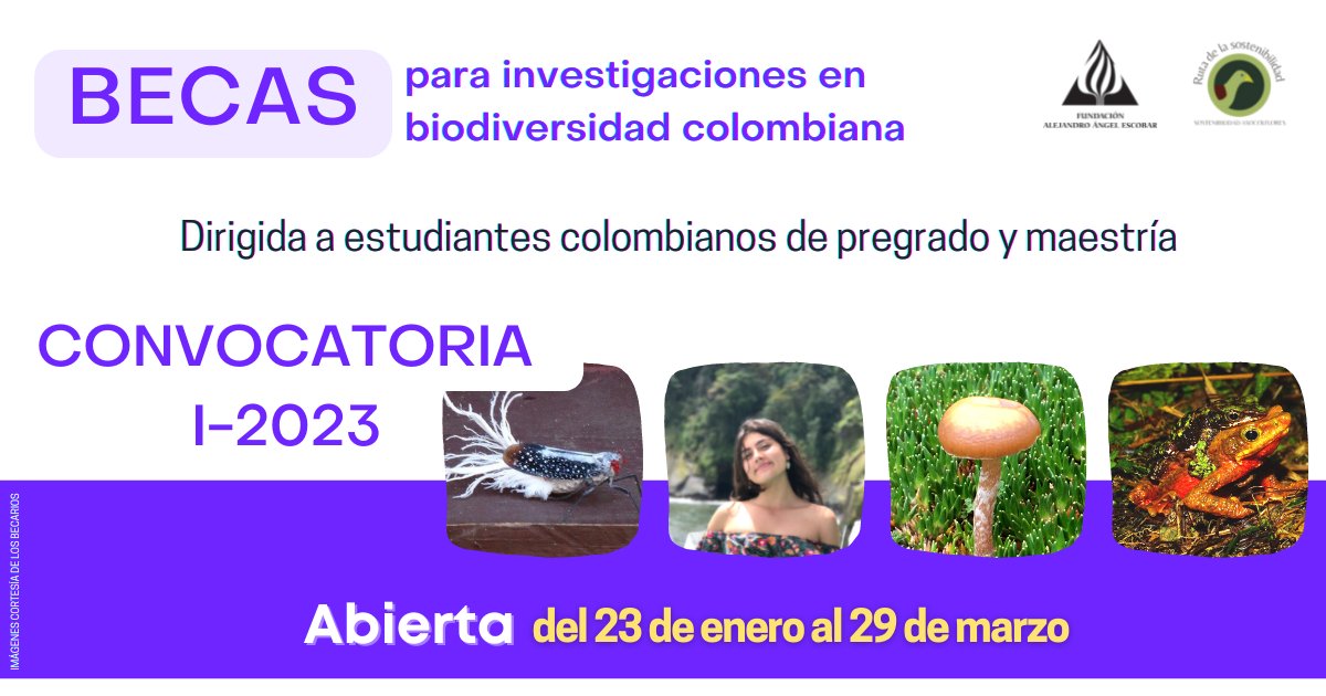 #PaseLaVoz Estudiantes colombianos 🇨🇴 de #Pregrado y #Maestría no dejen pasar la oportunidad de conseguir financiación para su proyecto de grado.

🗓 Hasta el 29 de marzo #BecasColombiaBiodiversa
faae.org.co/colombiabiodiv… <a href="/FAAEColombia/">FAAEColombia</a>