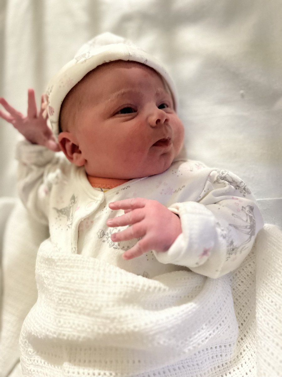 Russell Nightingale tweet media