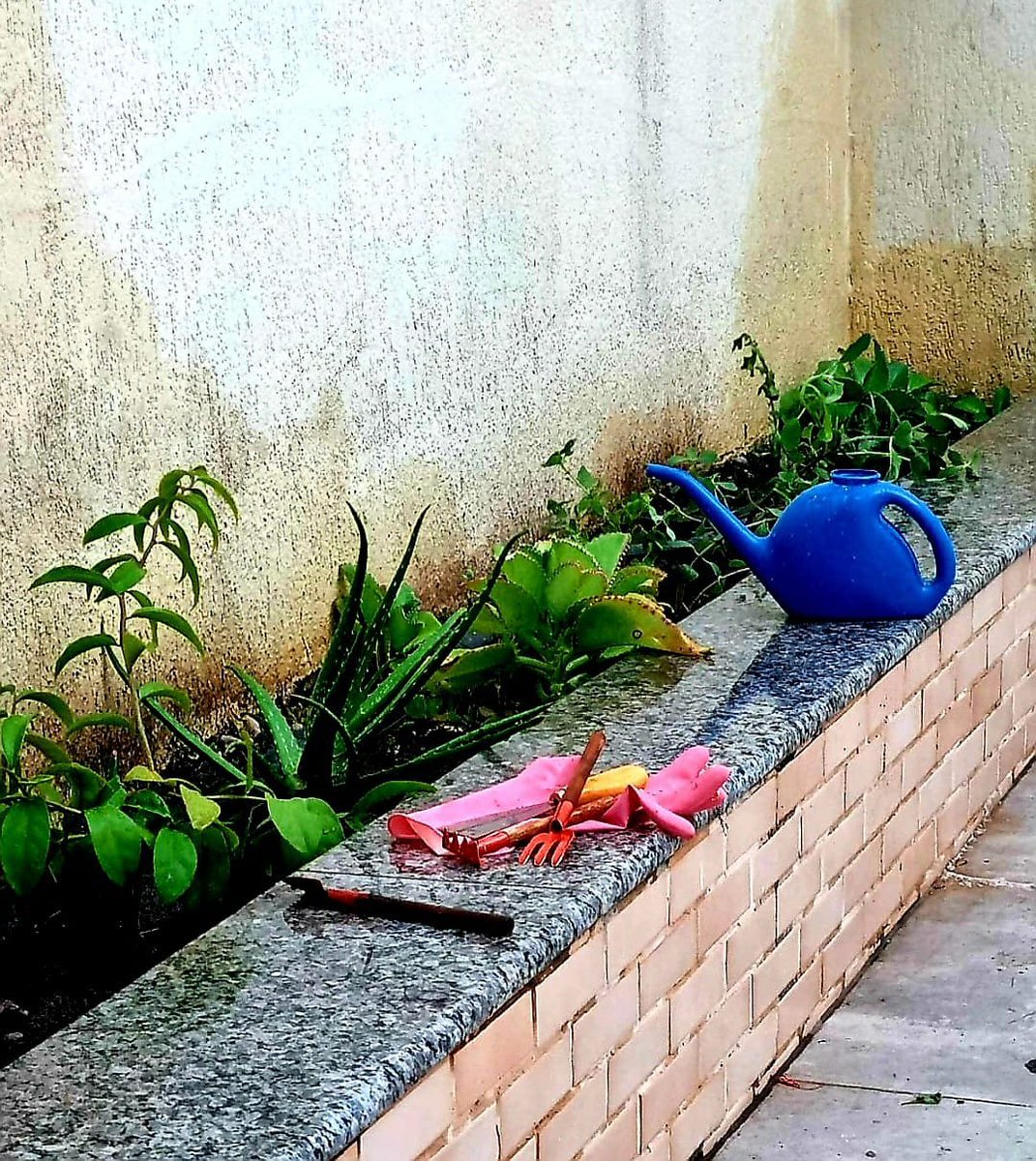 carlafernandabr's tweet photo. Mãos na terra. https://t.co/1nb7yW7XcV