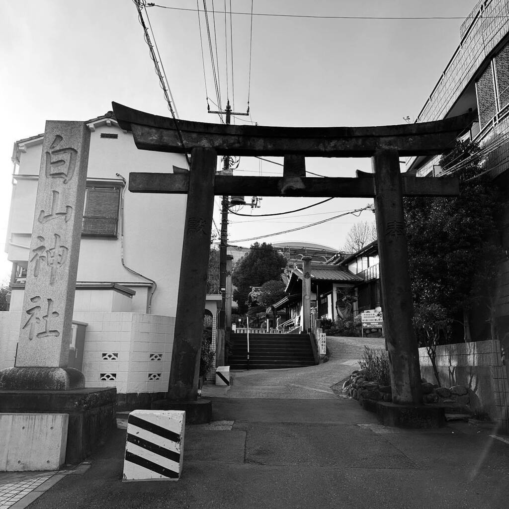 KanKanKAWAI's tweet image. #東京十社めぐり #hakusan instagr.am/p/Cn9QQywyUqo/