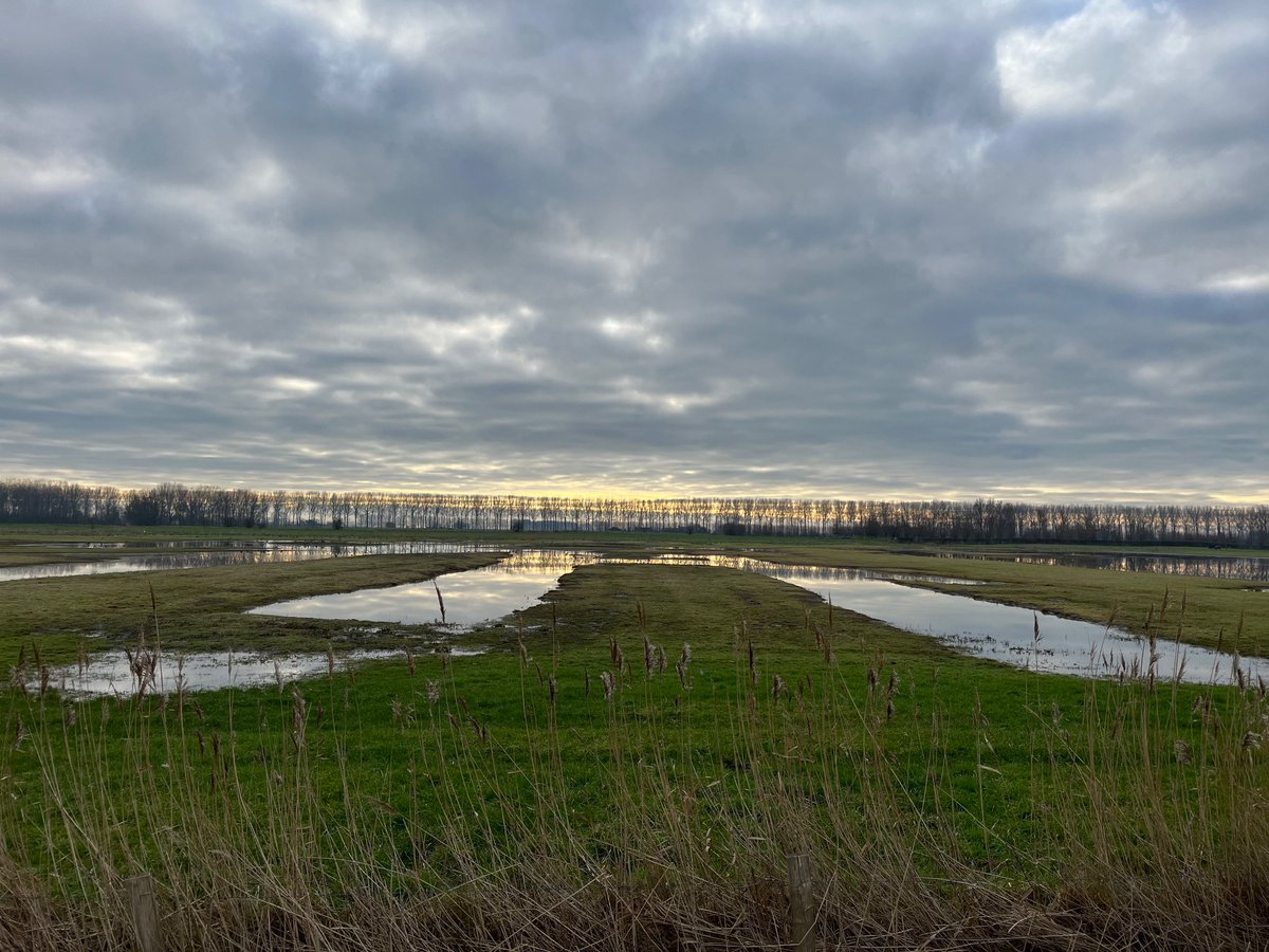 Wimdbs's tweet photo. Fietsen door de polders in Damme om 9u30
#vrtweer https://t.co/okzC1Jitjc