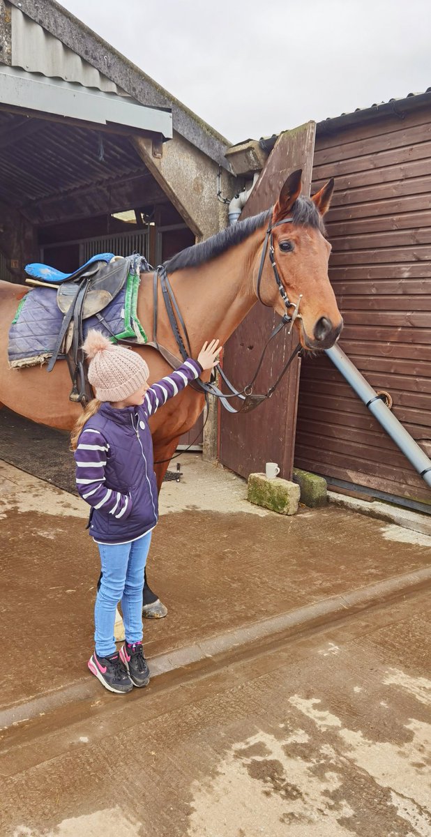 adachikennels's tweet photo. Shauna and I had a fantastic morning spent at  @Hannah30Lewis stables visiting the beautiful 'Carrie'. Thank u to the amazing @NH_racingclub for arranging the members morning, lovely to meet u all and the hospitality was top class. #NHracingclub #CarrigeenKampala https://t.co/ZYSqgixLmm